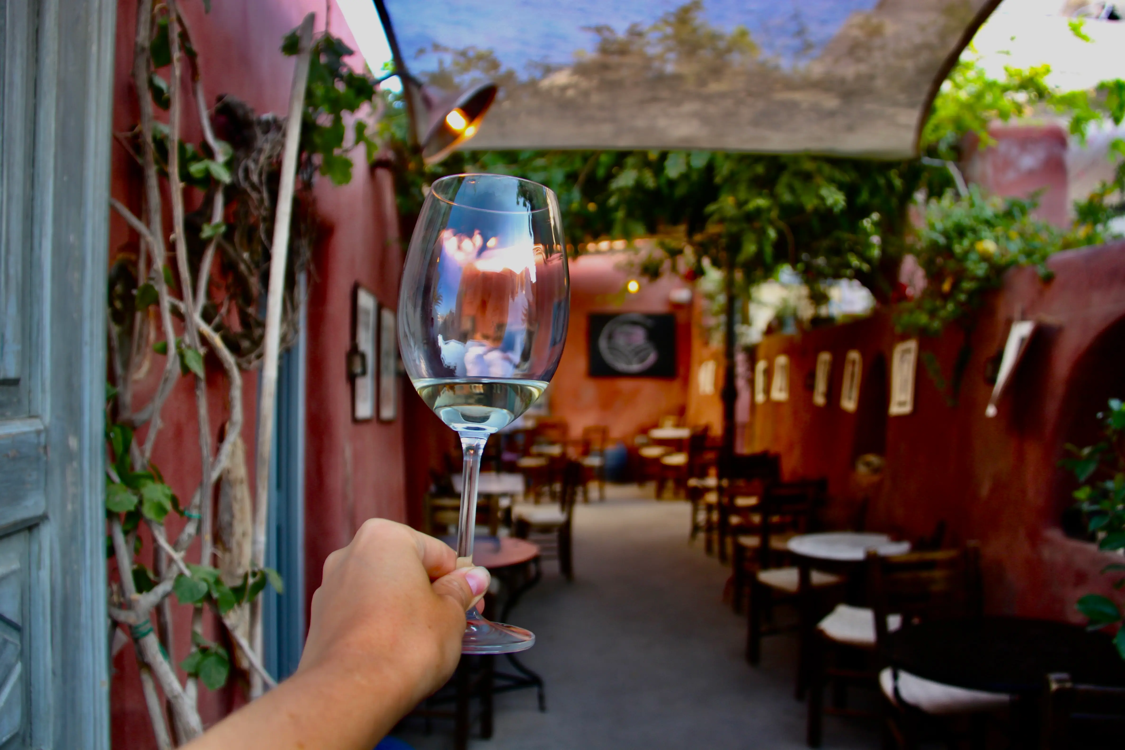 A glass of wine held in the Oia Oenosart garden
