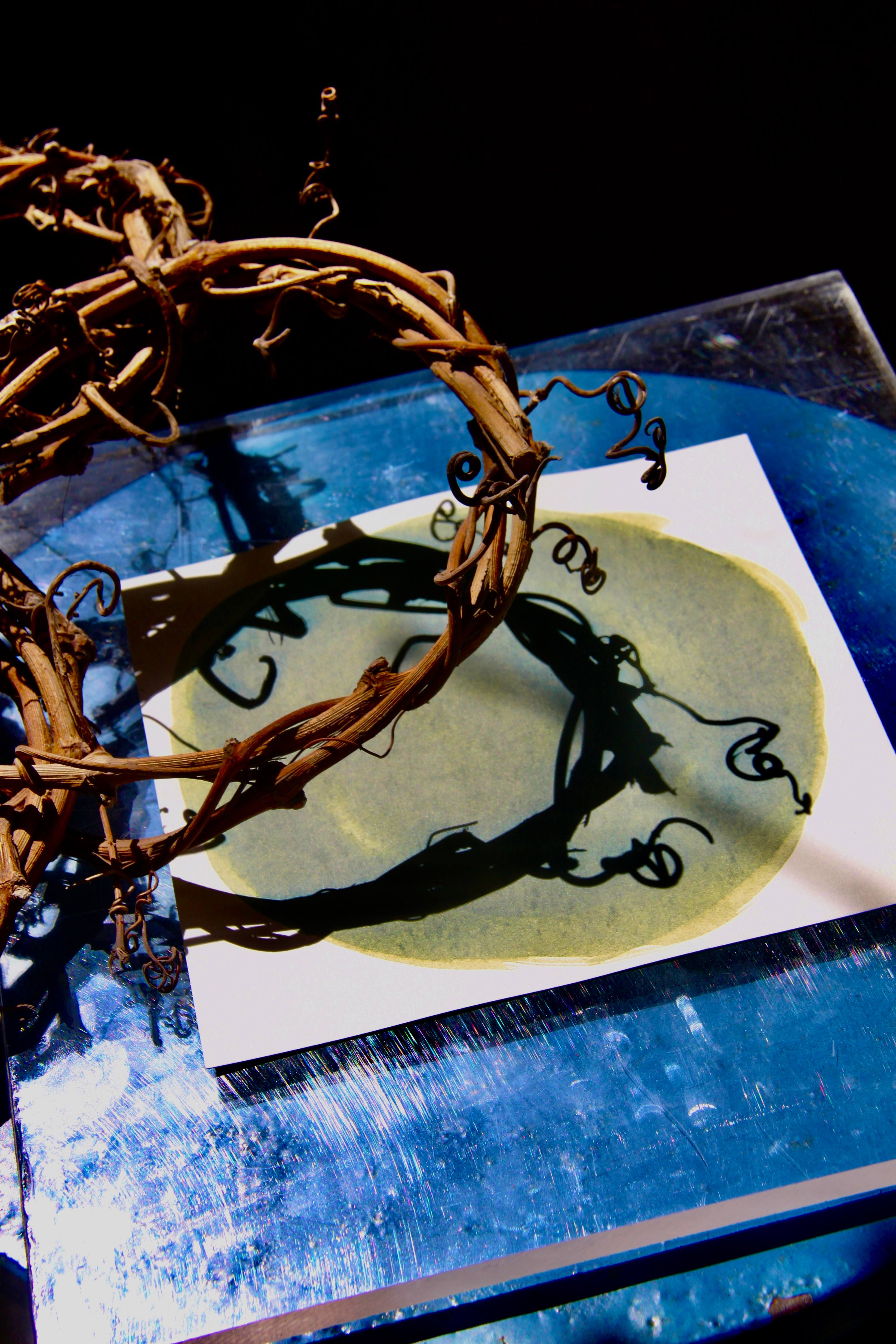 A dried vine arranged over a cyanotype artwork